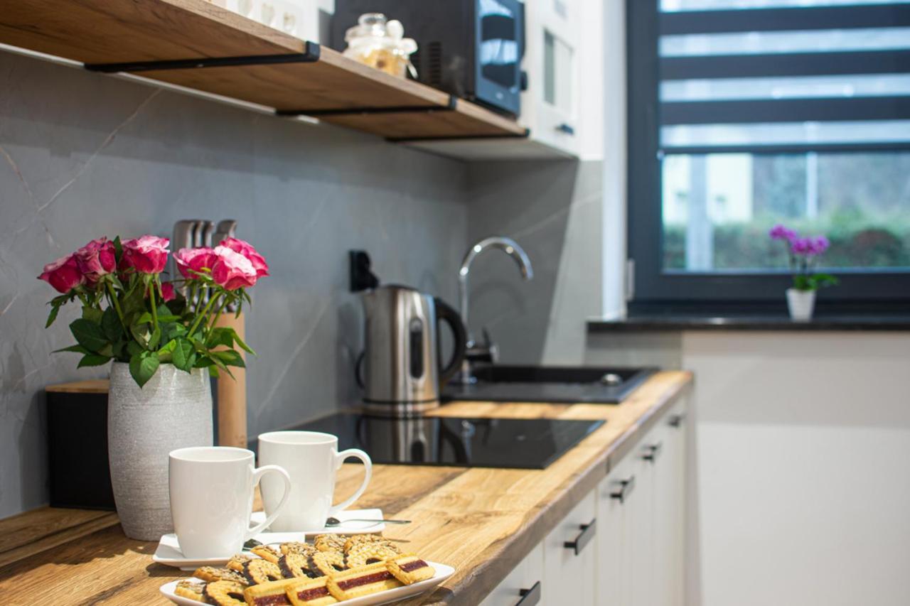 Apartment Szary Janowice Wielkie