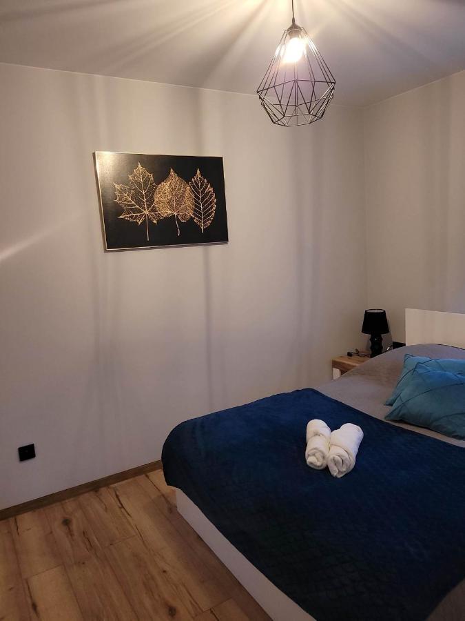 Apartment Szary Janowice Wielkie