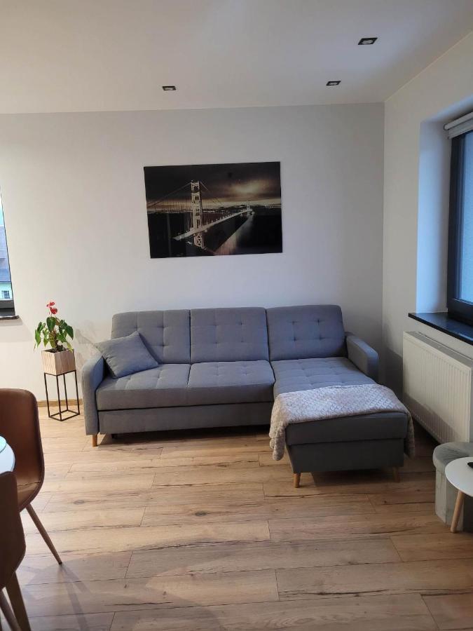 Szary Apartment Janowice Wielkie